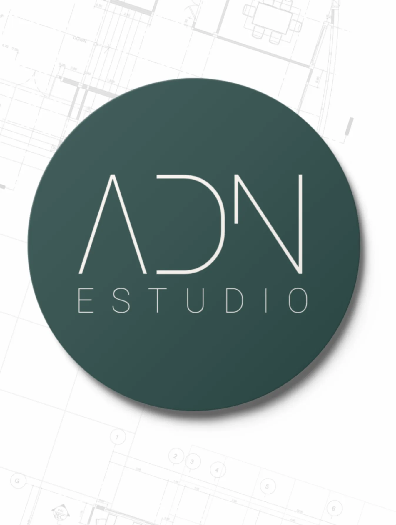 ADN | Proyecto de Katherine